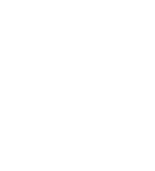 securityok_white